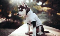 开云官方app入口-铁蹄破重围，利刃斩心魔，马赛压制战术下的孙兴慜救赎之战