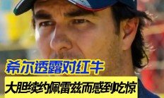 开云体育官方网站-红牛二队完胜迈凯伦，佩雷兹高光表现的简单介绍