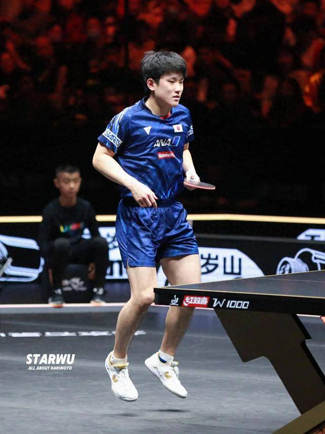 包含葡萄牙队横扫韩国队，张本智和关键制胜的词条