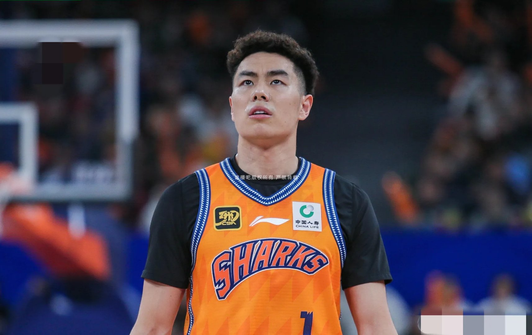 北京队横扫山西队，胡金秋惊艳四座的简单介绍