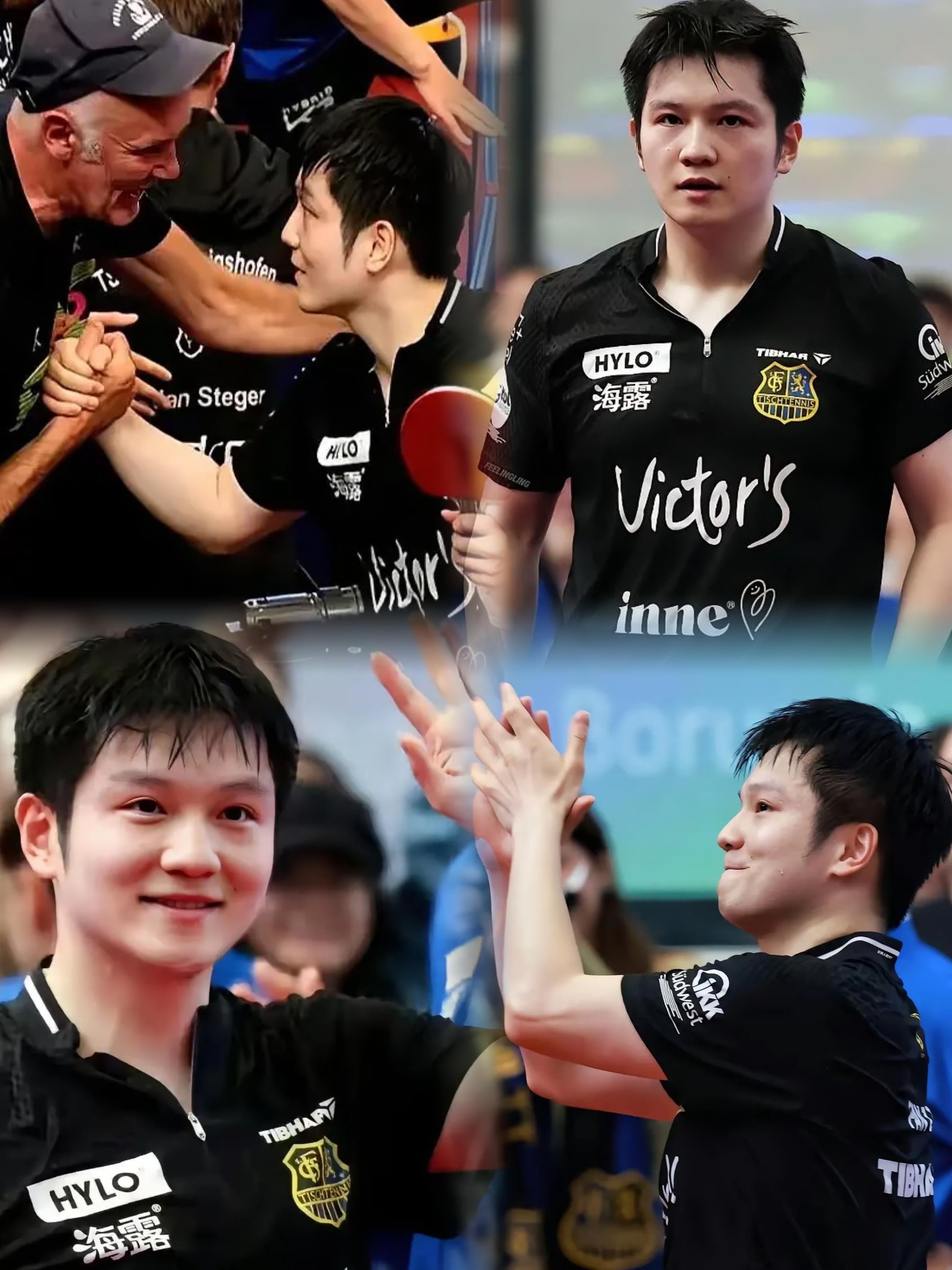 包含德国乒乓球队横扫波兰乒乓球队，樊振东完成帽子戏法的词条