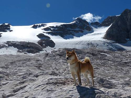 塞内加尔硬仗取胜西班牙,莱奥成为关键先生—非洲雄狮的战术革命与个人英雄主义