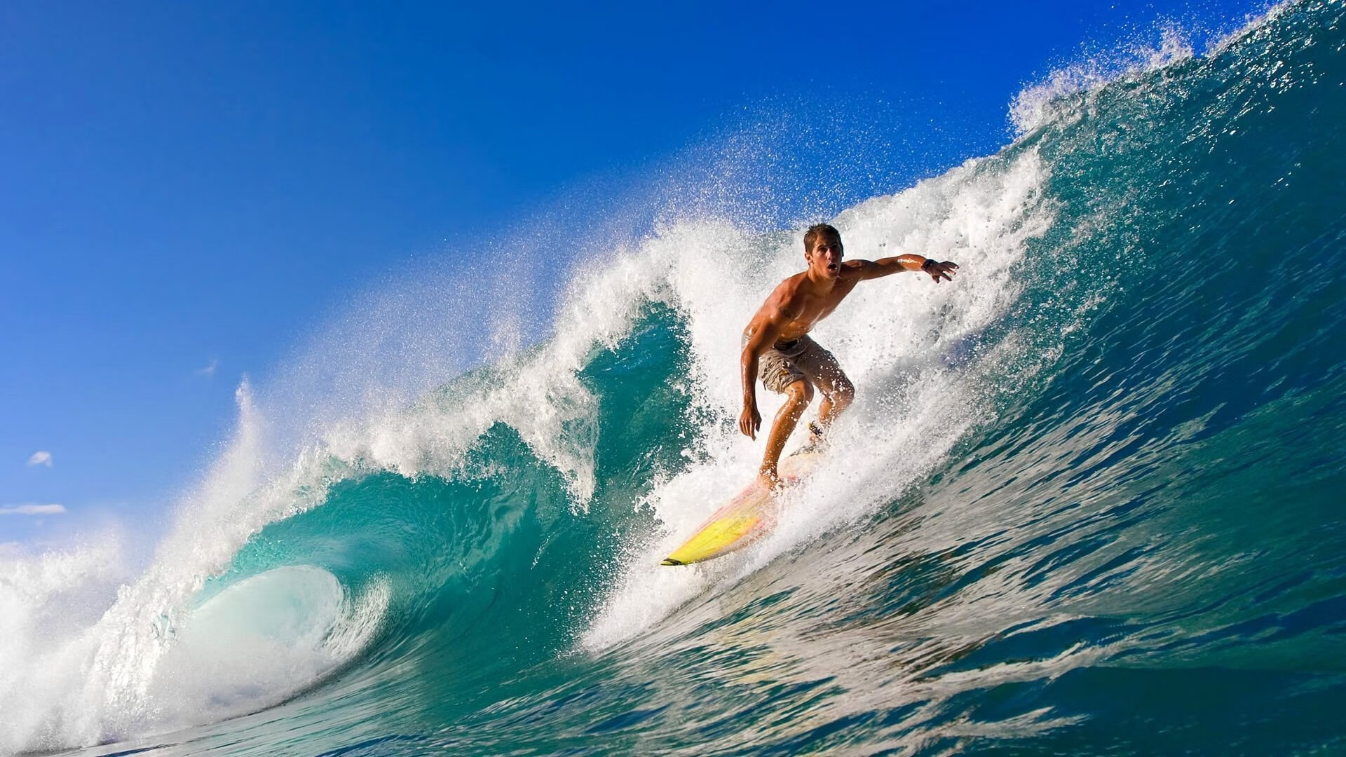 绿茵与硬木的交响，多特蒙德血性之战与NBA总决赛的意志共鸣